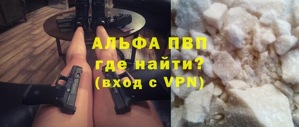 стаф Надым