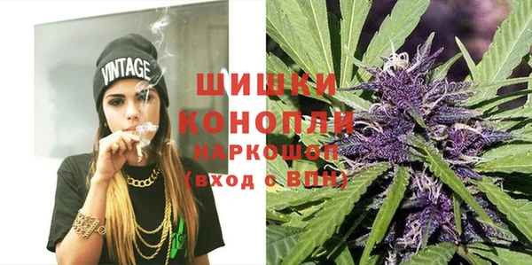 стаф Надым