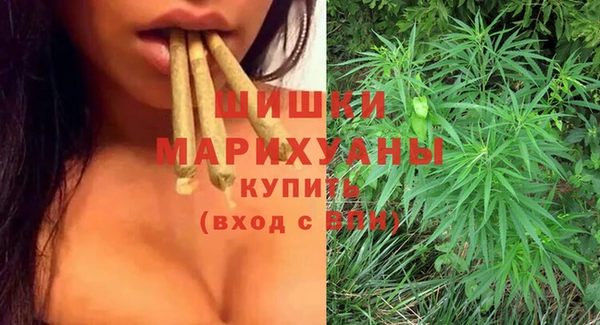 стаф Надым