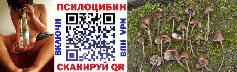 Купить  Алушта  Галлюциногенные грибы Magic Shrooms 